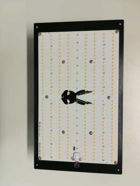 Kani Quantum Board Led 120W 3000K