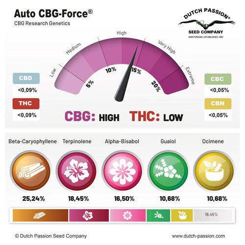 Auto CBG-Force (Dutch Passion)