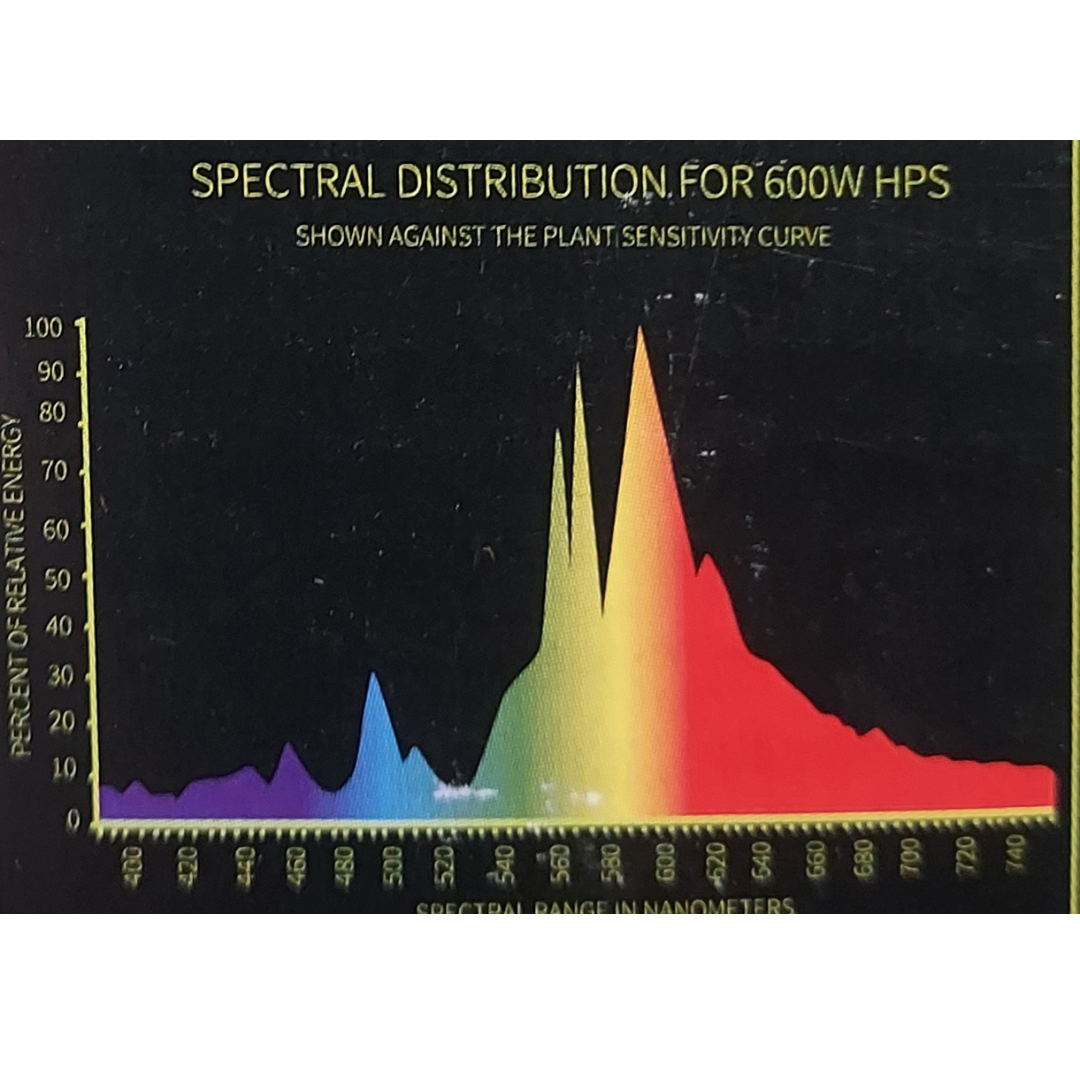 Super HPS 400w polttimo