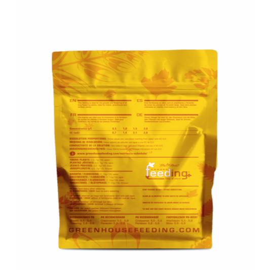 Green House - Long Flowering